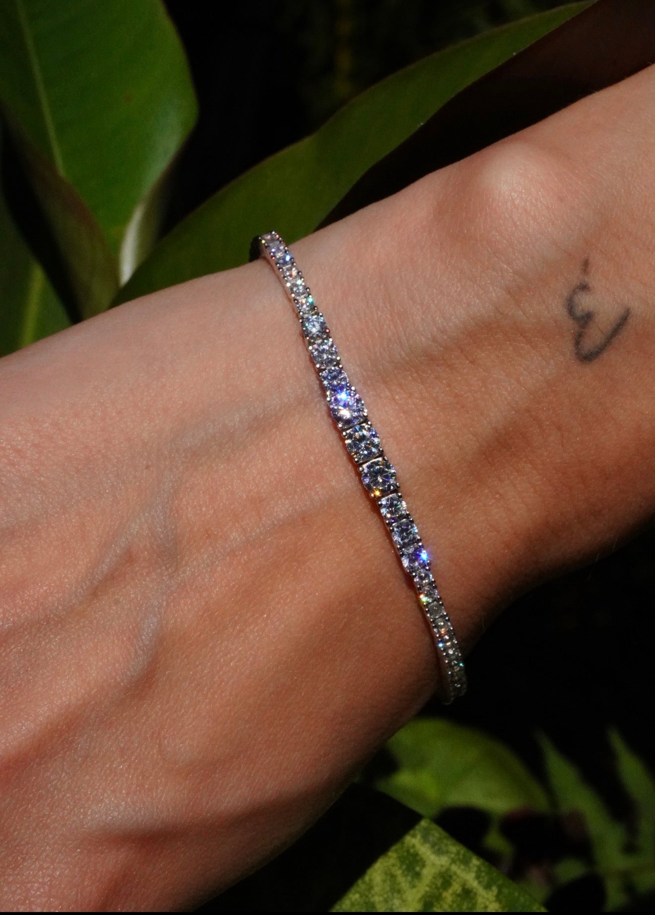 PULSEIRA RIVIERA AURORA