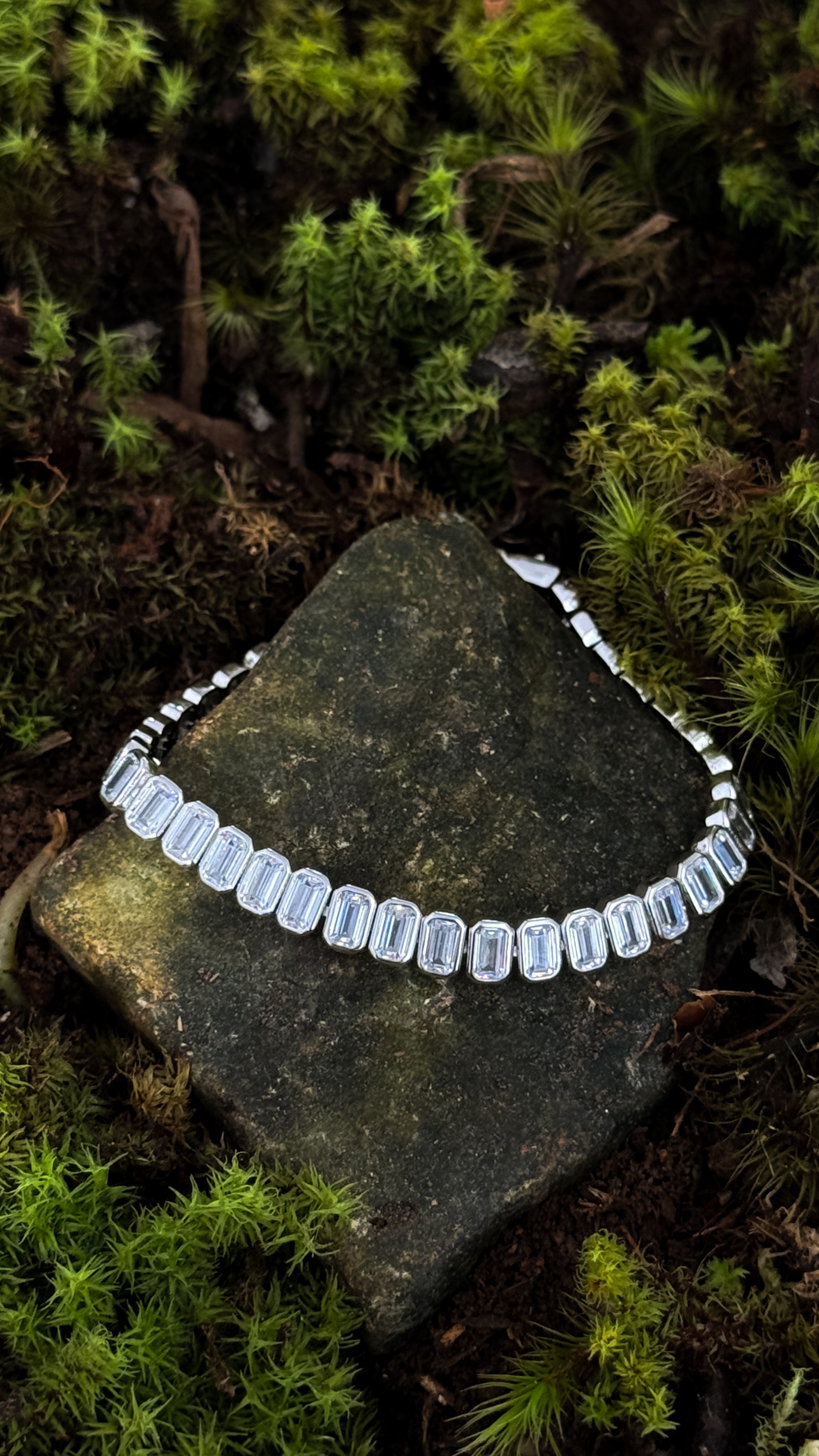 PULSEIRA CÂNIONS